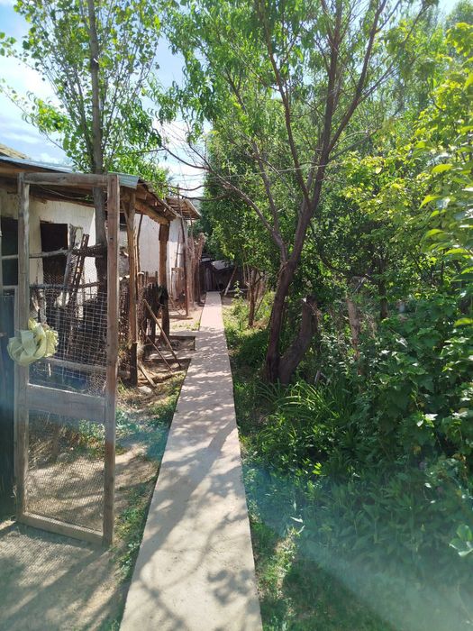 Продаётся Дом в Кибрайском районе