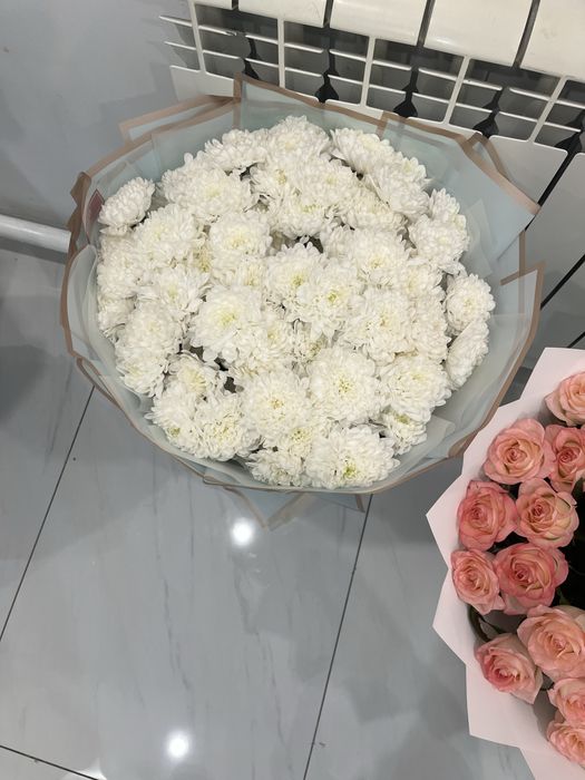 гул барр бугинге срочно алып кетсендерр