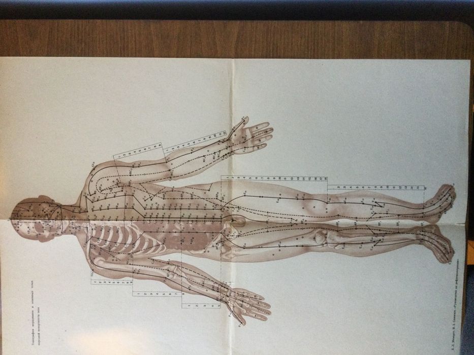 Учебник по рефлексотерапия