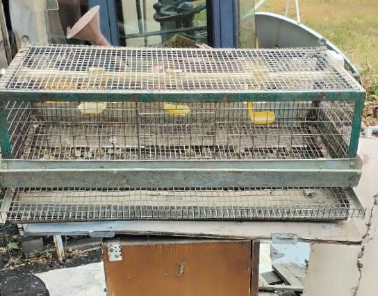 Клетки для перепелов