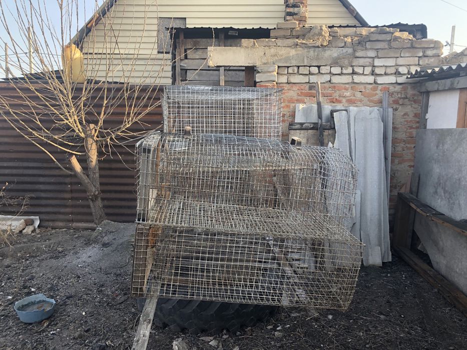 Клетки для животных и птиц