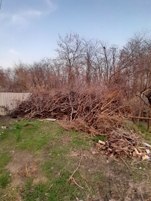 Otin tekinga bervoramiz