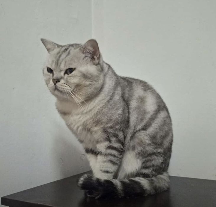 Срочно вязка вязка