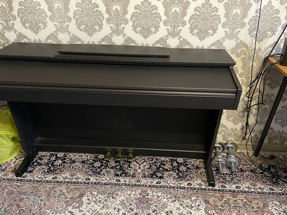 Пивнино цифравое