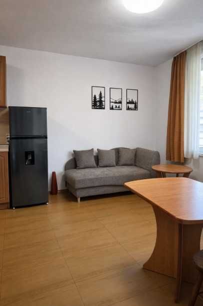 Двустаен апартамент под наем Лозенец