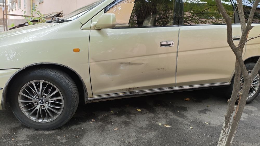 Дверь передняя левая GAIA