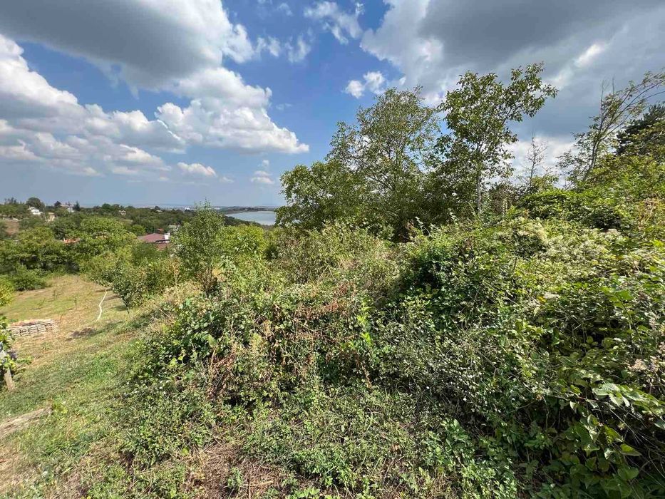 Продава се Парцел в Търговище, Вилна зона - 1364 кв.м за 36 €/кв.м - Снимка #2