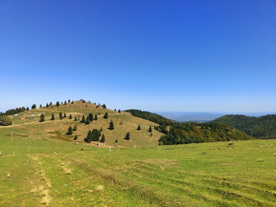 Vând parcele teren intravilan zona Paltinis