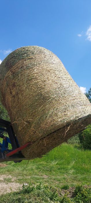 Baloți de lucernă,fân dreptunghiular,rotund! Se asigura transport!