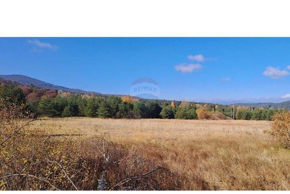 Продава се Парцел в Батак - 9309 кв.м за 2296 €/кв.м - Снимка #10