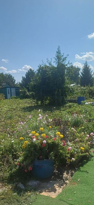 Продам дачу