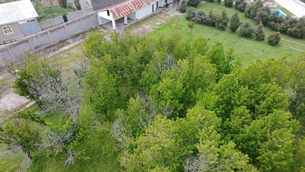 Продаётся уютная дача с большим земельным участком