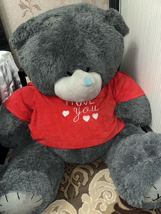 Teddy ayiq kottasi o