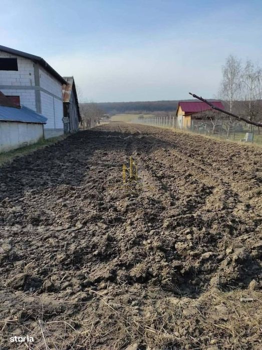 Teren 2.900 Mp În Zona Centrală Lipoveni – Acces Direct La Asfalt