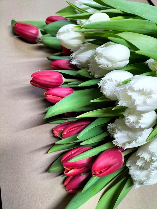 Тюльпаны на 8 марта!!!