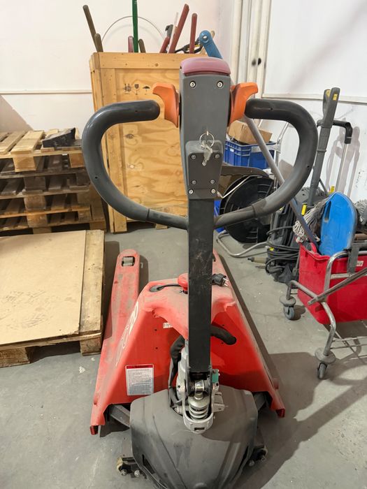 Электрическая Рохля