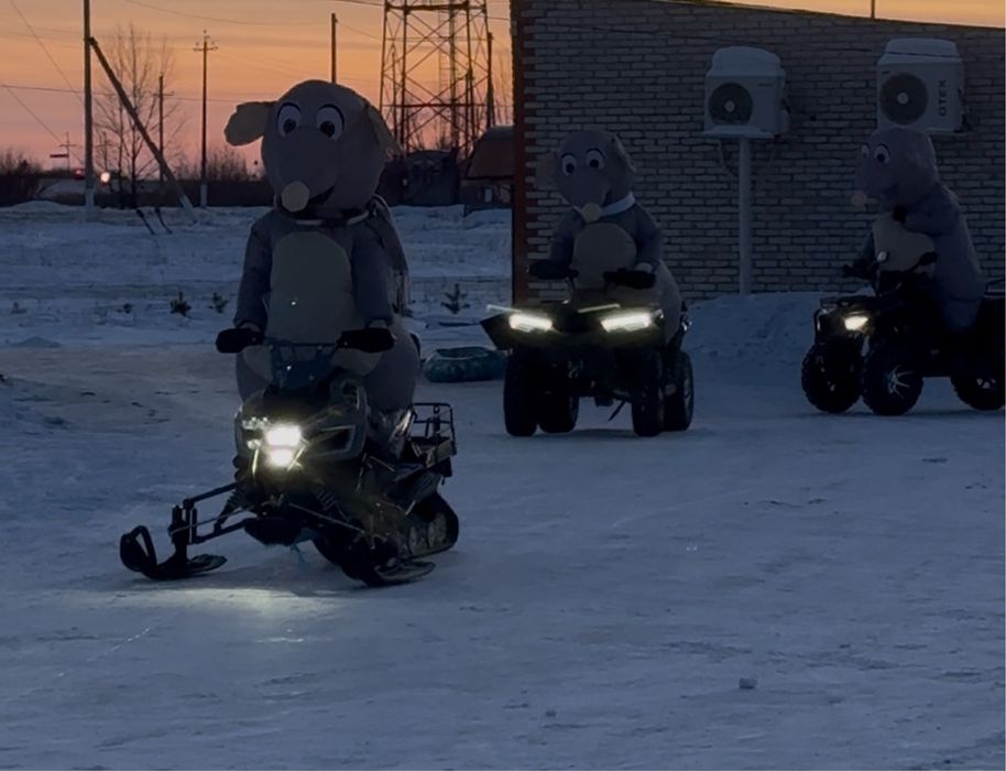 Костюм крыс в аренду 4000