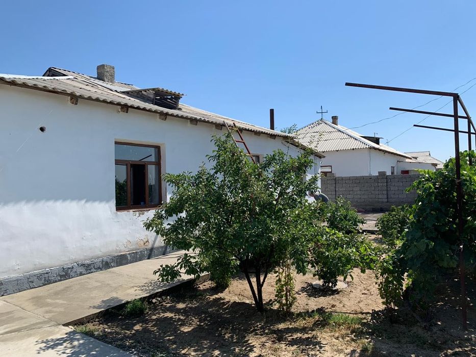 Кой кошкарга ауыстырамын