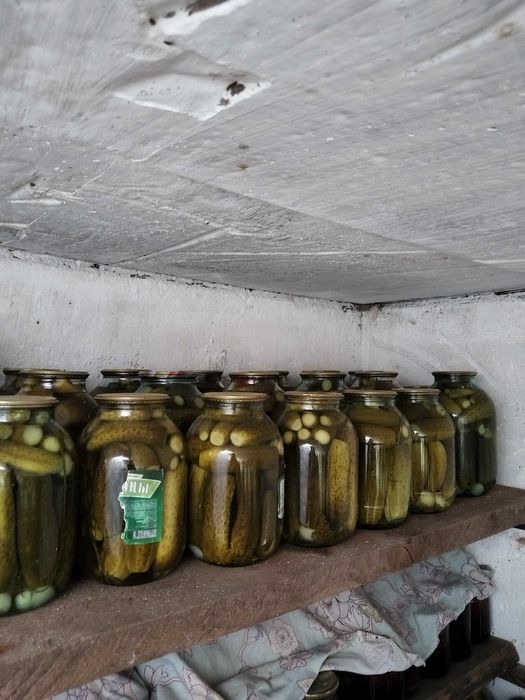 Продам домашние засолки