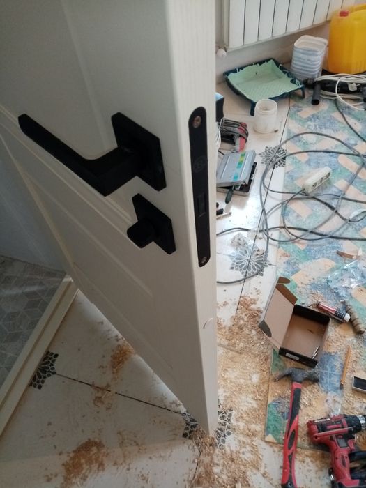 Услуги плотника, установка дверей