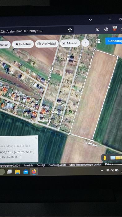 Teren intravilan 18000m2 Dascalu /direct proprietar