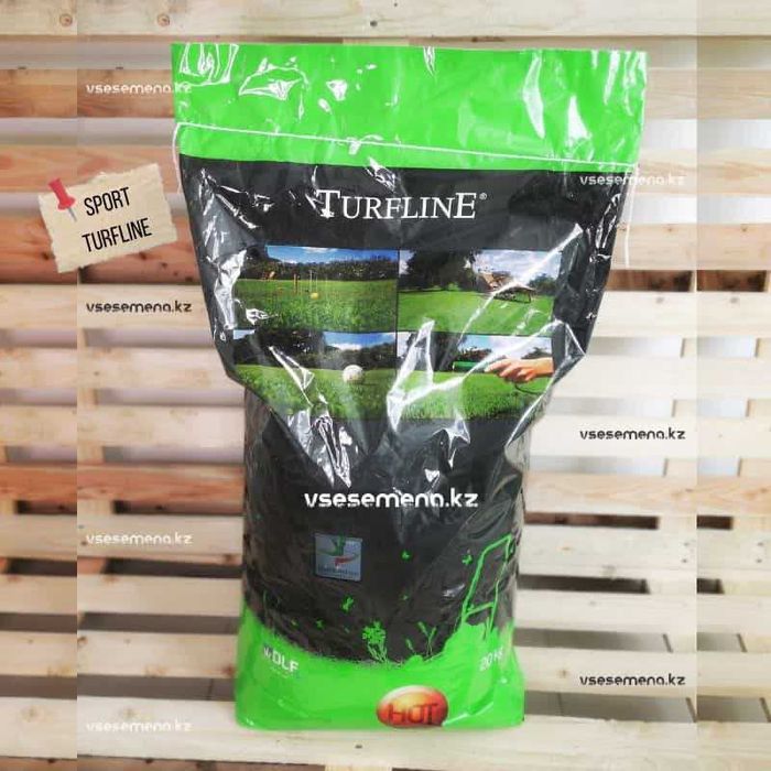 Газон Астана. 3 вида газона