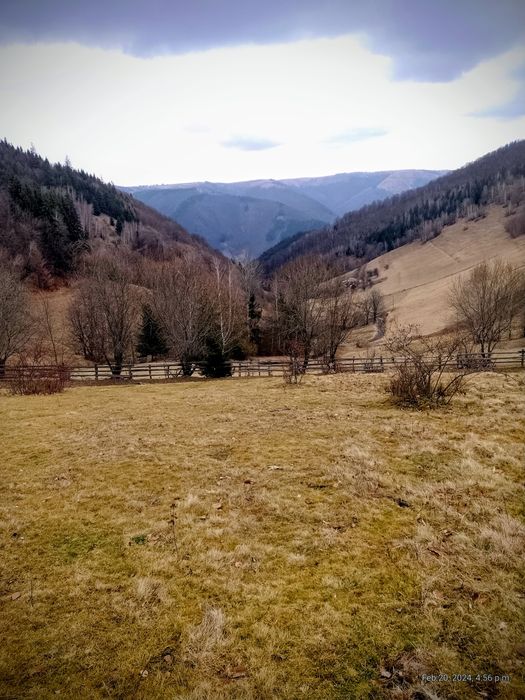 Teren pentru cabane Marisel