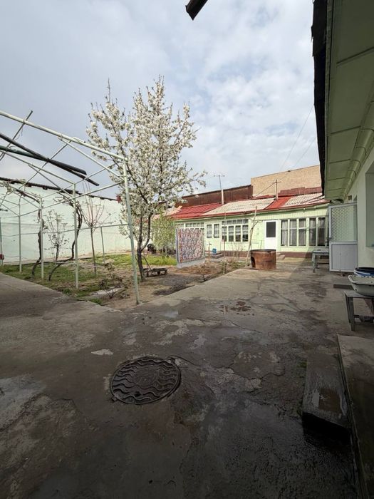 Земля Ракат Махалля 6 соток