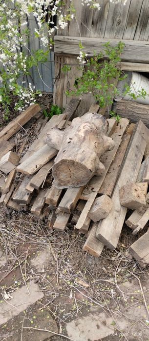 Отдам дрова для бани, печки.