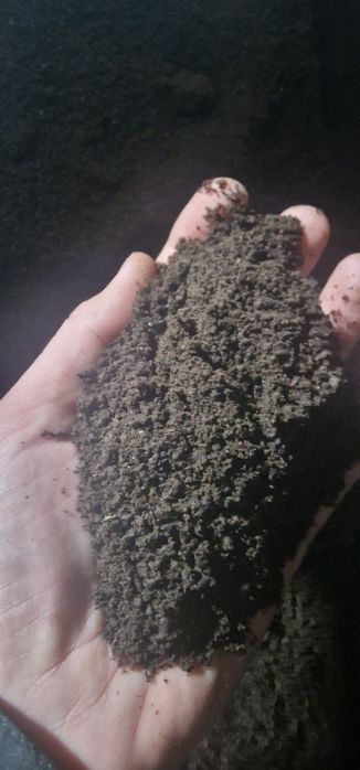 Biohumus vermicompost