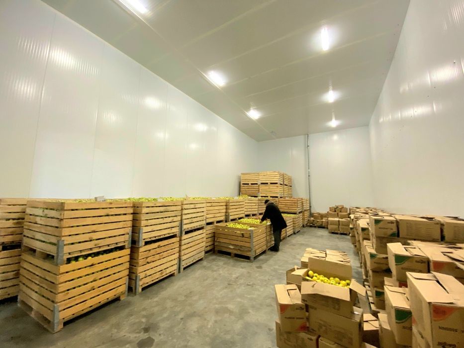 Фруктохранилище действующее.