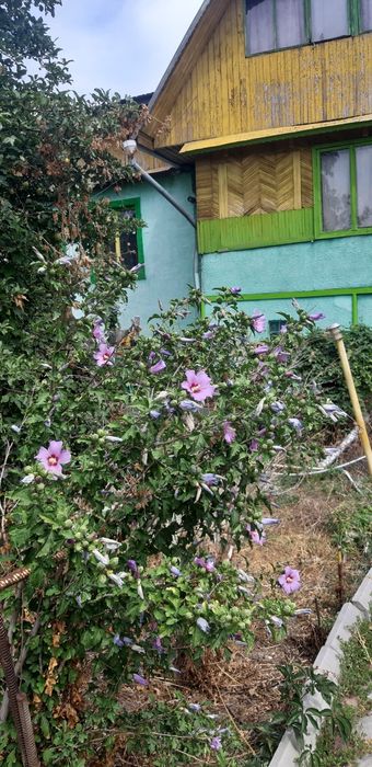 Продам дачу Байтерек