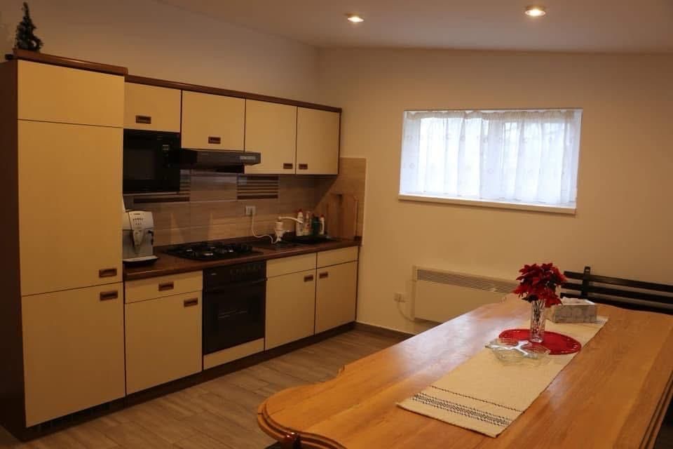 Cabana de inchiriat borsa moisei viseu