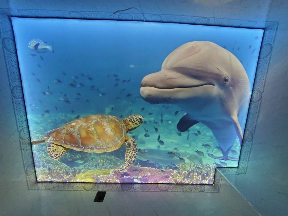 Натижной паталог . Natijnoy