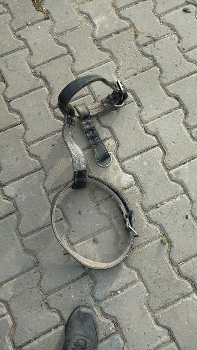 Ошейник для собак в хорошем состоянии