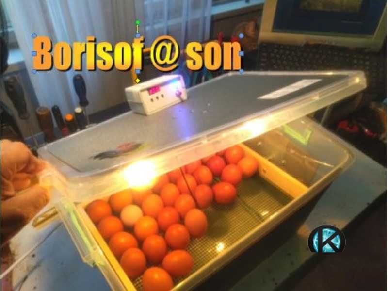 Инкубатори - български