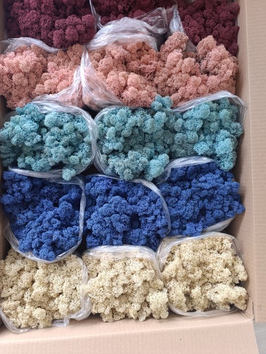 Скандинавски мъх за зелени стени, пана, декорации.