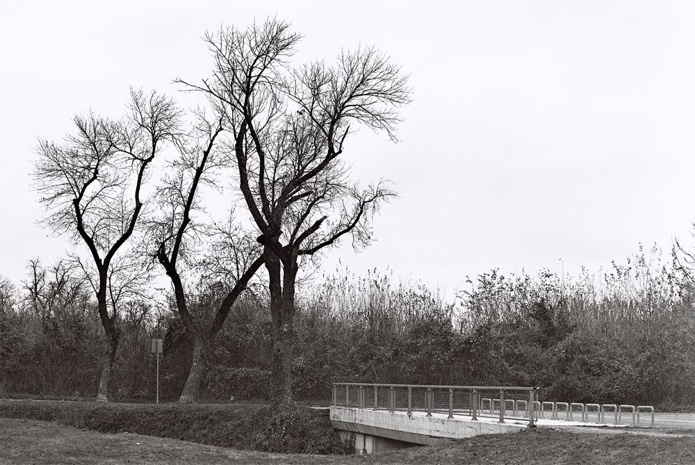 Ilford XP2- Film negativ alb/negru (ISO 400/135-24) expirat în 08/2025