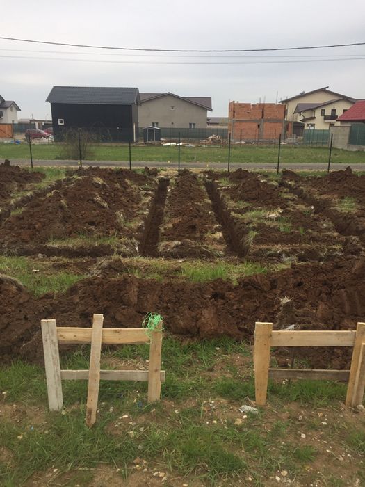 Lucrari cu buldo cu picon miniexcavator bobcat