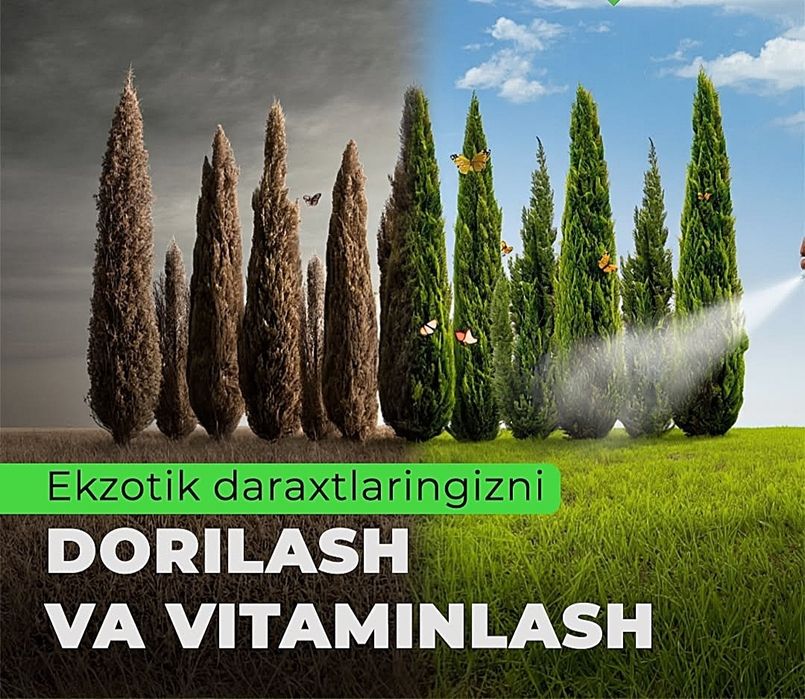 дезифекция дорилаш