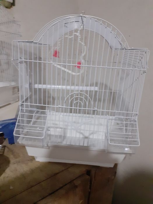 Vând colivii conform poze .