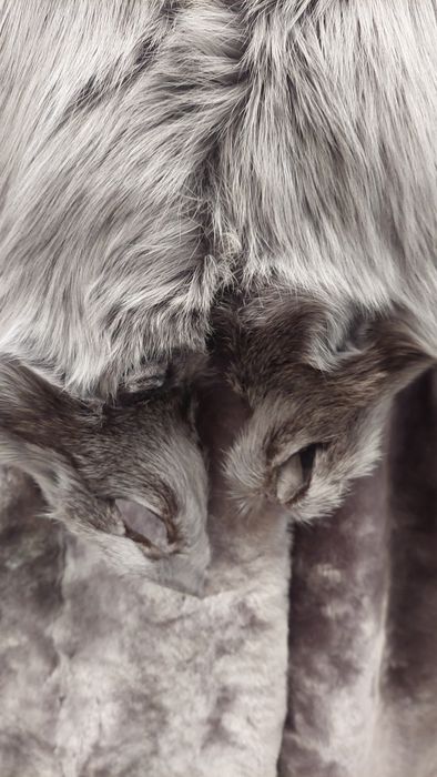 Продаётся шуба мутон с песцовым воротником