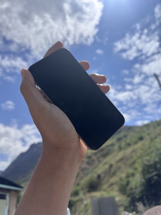 iphone 12 pro ideal