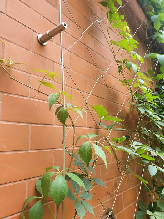 Сетка из нержавеющего троса