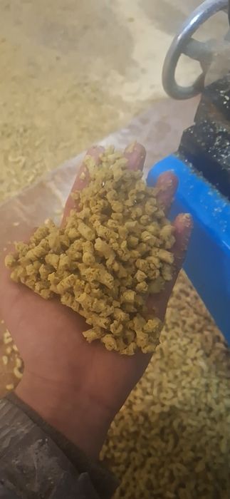 «Илийский Комбикормовый Завод»