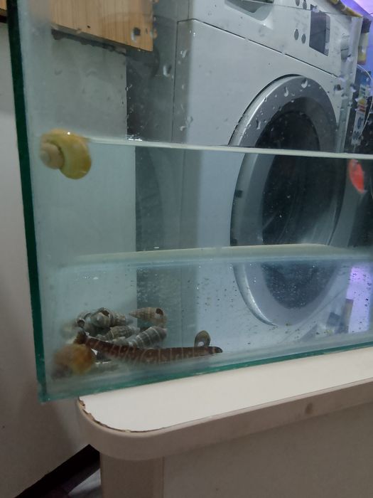 Аквариум хороший состояние