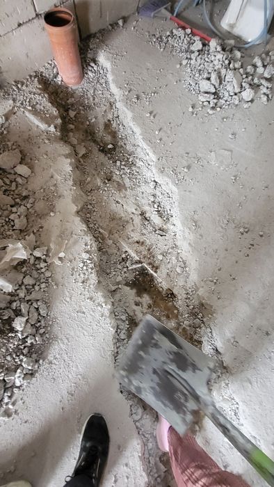 Demolam/raschetam /curatari gradini braila-galati