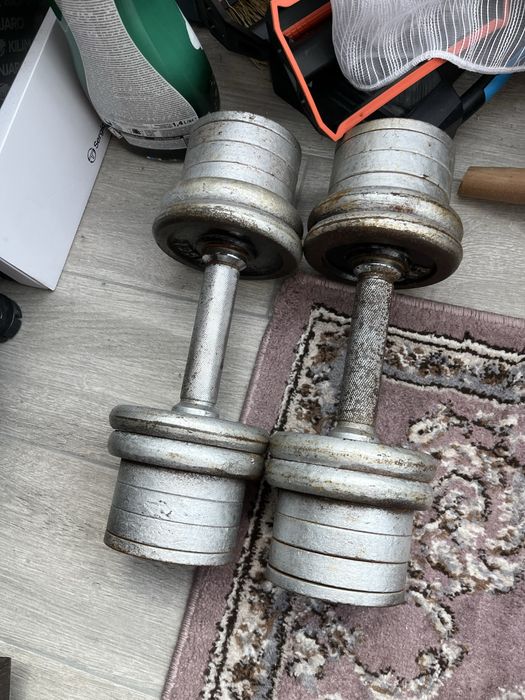 Gantere 2x14kg fonta