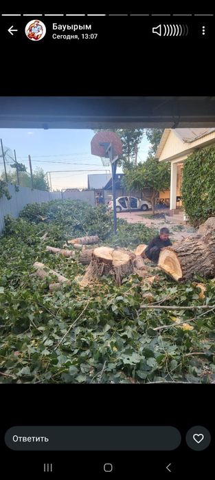 Спил деревьев Алматы