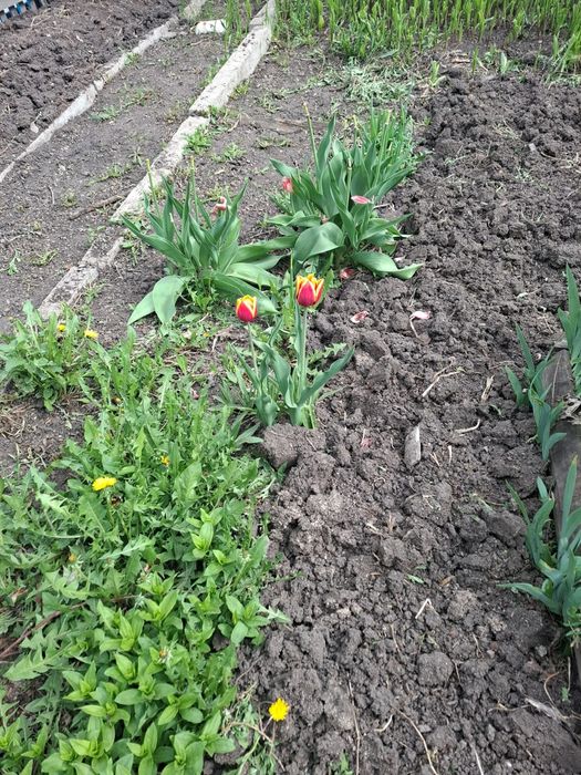 Продается  4 комнатный дом.